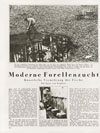 Die Woche Heft 26 1931