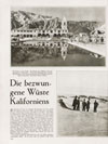 Die Woche Heft 31 1931